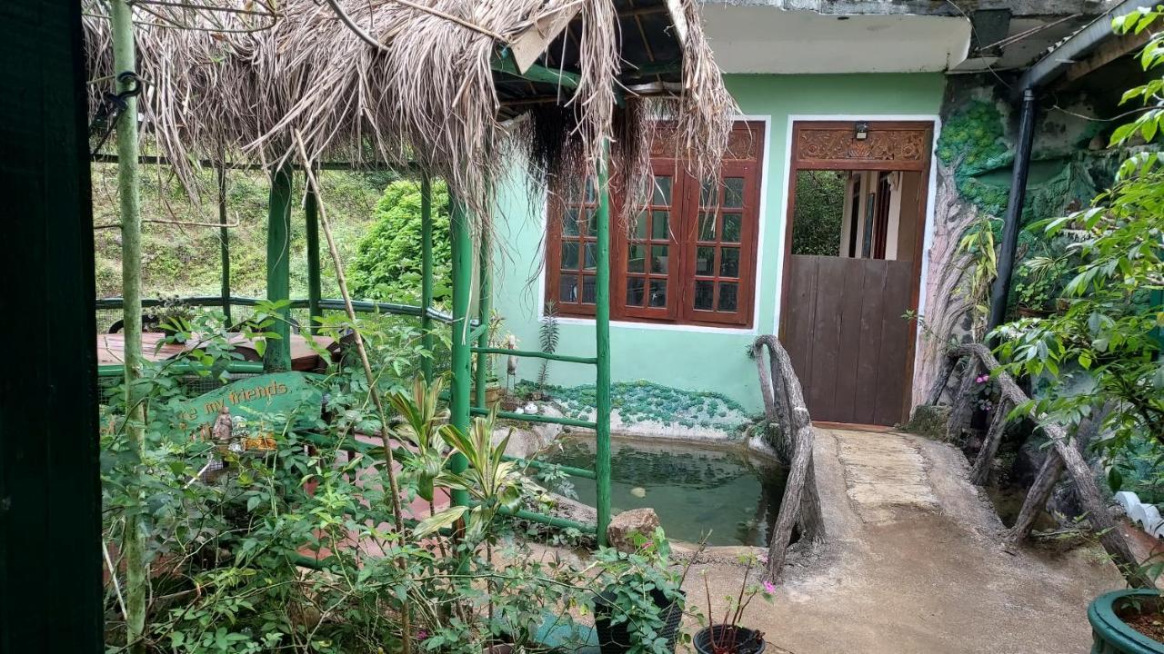 Green House Nallathanniya Extérieur photo